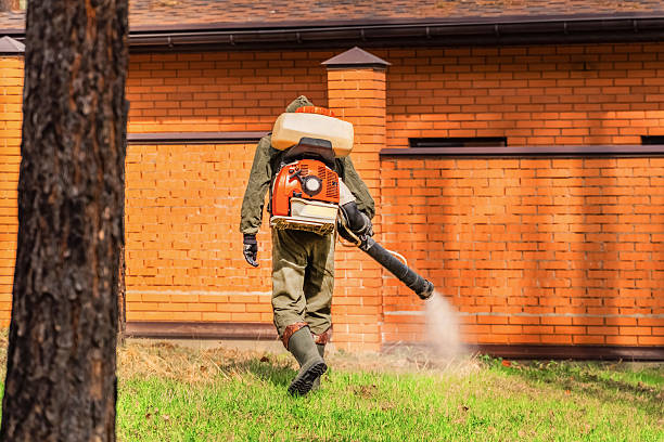 Trusted Cockroach Control service in Mill Creek, WA - Nex Pest Control